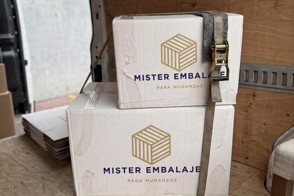 Pack de material de mudanza listo para el reparto